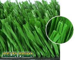 images_046